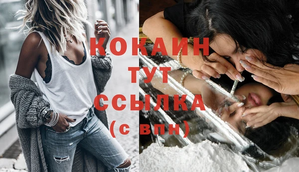 сатива Рославль