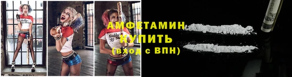 сатива Рославль