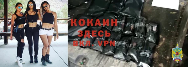 сатива Рославль